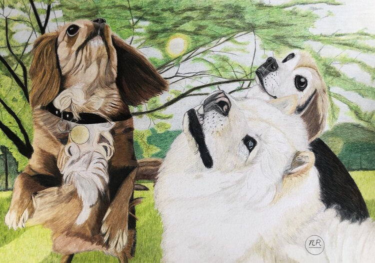 Les 3 copines Pierre Bayet