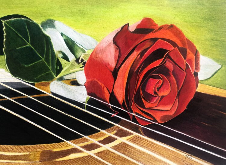 Rose sur guitare. Pierre Bayet