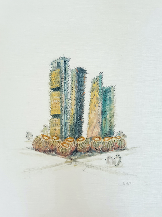 Las 4 Torres CATALINA CORTES