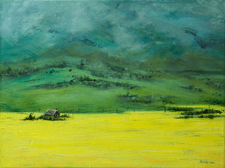 Yellow field of Siberian rapeseed Natalia Korneeva