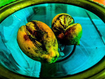 Vanitas Livia Küffner