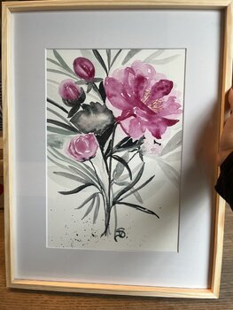 les pivoines veronique scotte