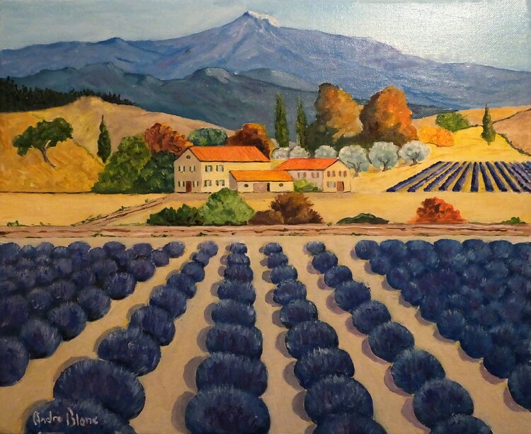 Provence  lavandes André Blanc