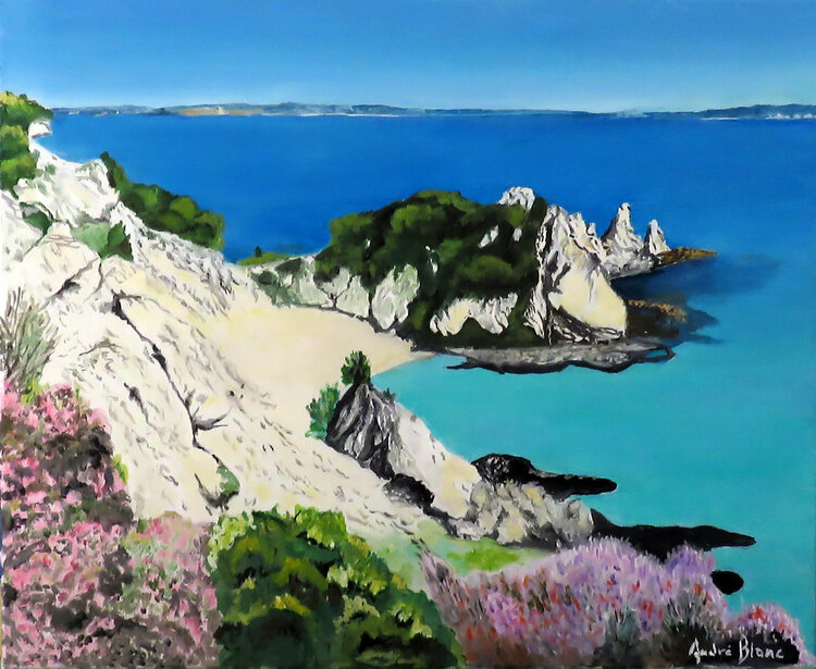 Plage de la chèvre André Blanc