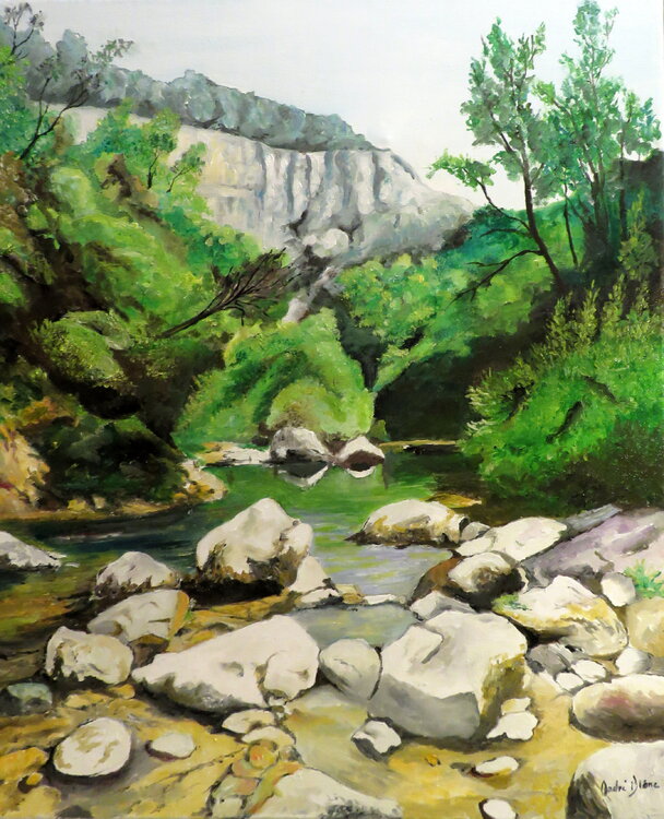 petite rivière en forêt André Blanc