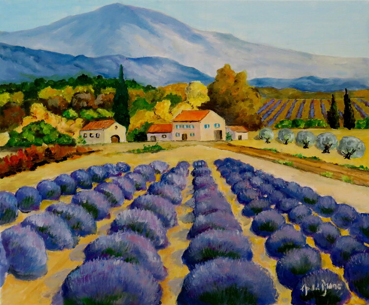 champ de lavande André Blanc