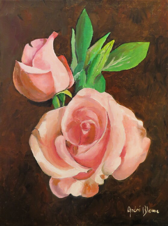 les roses André Blanc
