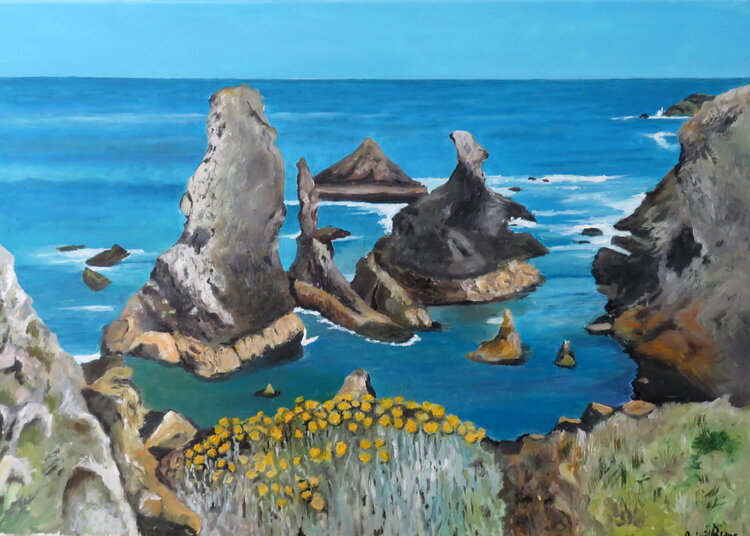 Les aiguilles de port coton André Blanc