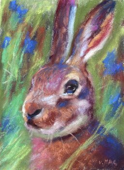 Colorful Bunny Viktorija Maciuleviciute