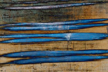 Apple Fields DOMINIQUE CAHIER