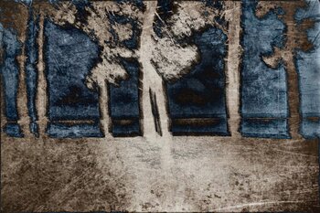 Paysage marin DOMINIQUE CAHIER