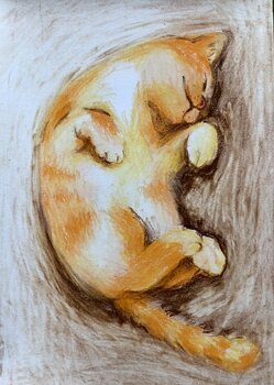 Orange Catalina-Ioana Paun