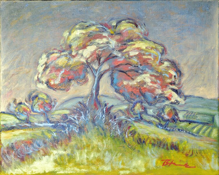Baum in Landschaft 3503 Thomas Steinmetz