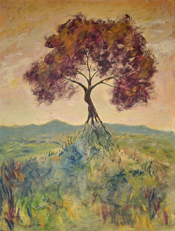 Baum in Landschaft 2902 Thomas Steinmetz