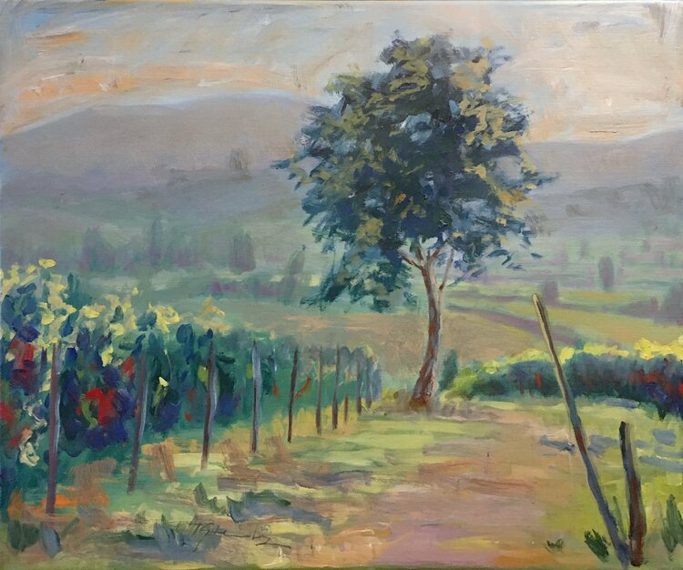 Weinberg 3718 Thomas Steinmetz