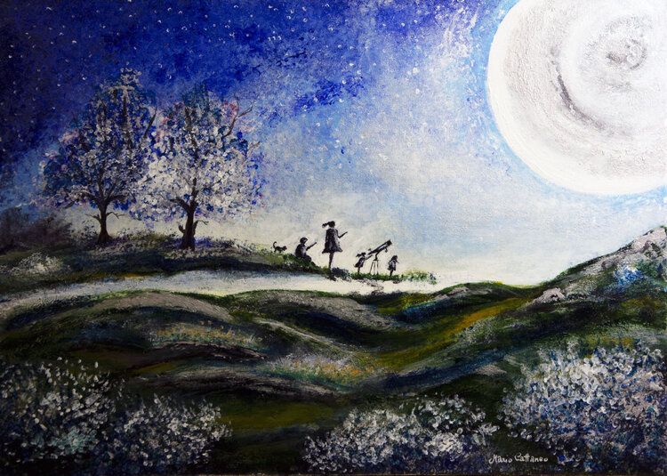 Notte di luna e stelle Mario Cattaneo