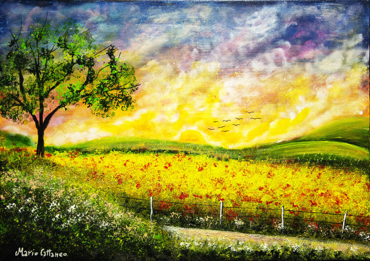 Country road Mario Cattaneo