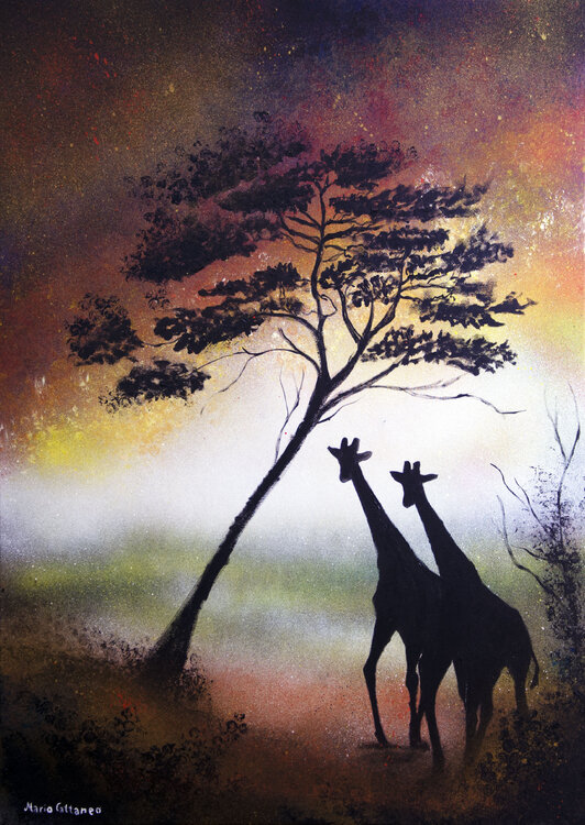 Giraffe in controluce Mario Cattaneo