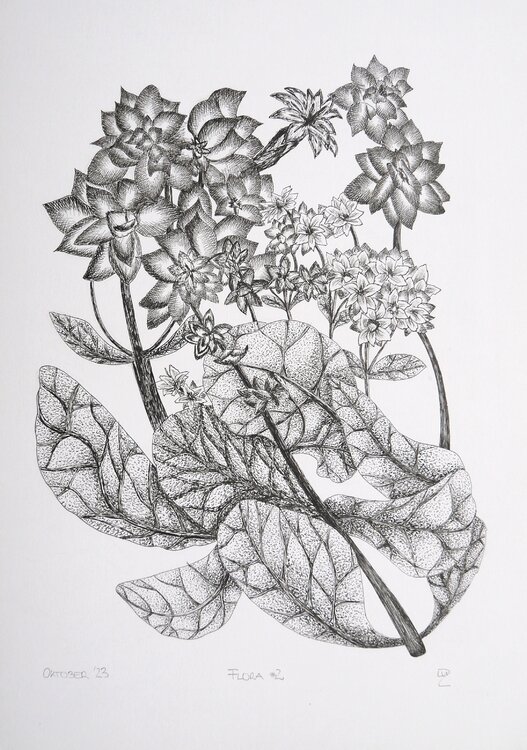 Flora #2 Sophie Luz