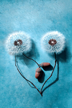 Pusteblume mit Eicheln Claudia Drossert