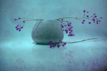 Blue Berry Claudia Drossert