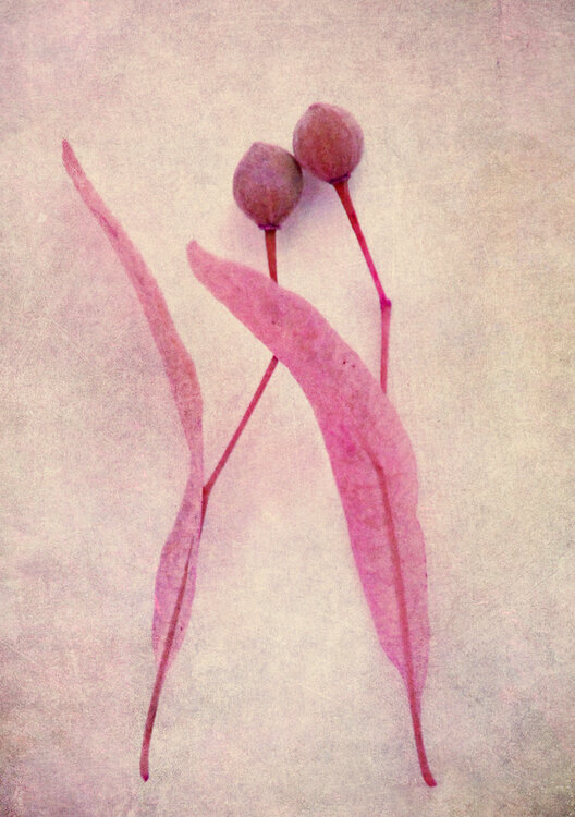 Vertrauen Claudia Drossert