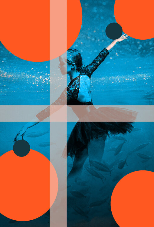 Tanz mit den Fischen Claudia Drossert
