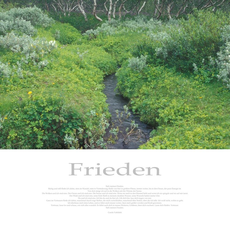 Frieden Carola Vahldiek