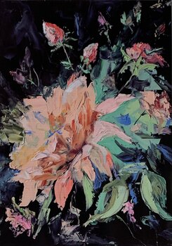 Rose on black. V. Schagen