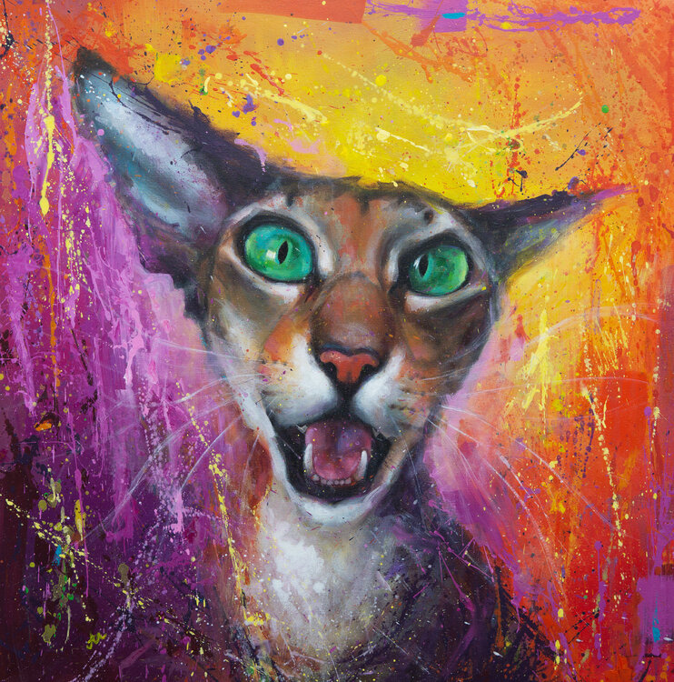 Electric Cat Alona M