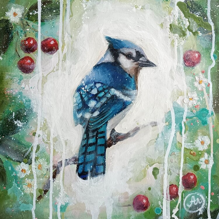 Garden Guest. Blue Jay. Alona M