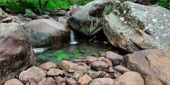 Natur pur 2 Korsika Wolfgang Lorenz