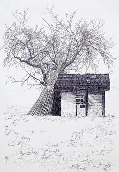 kahler Baum mit Feldhütte Wolfgang Lorenz