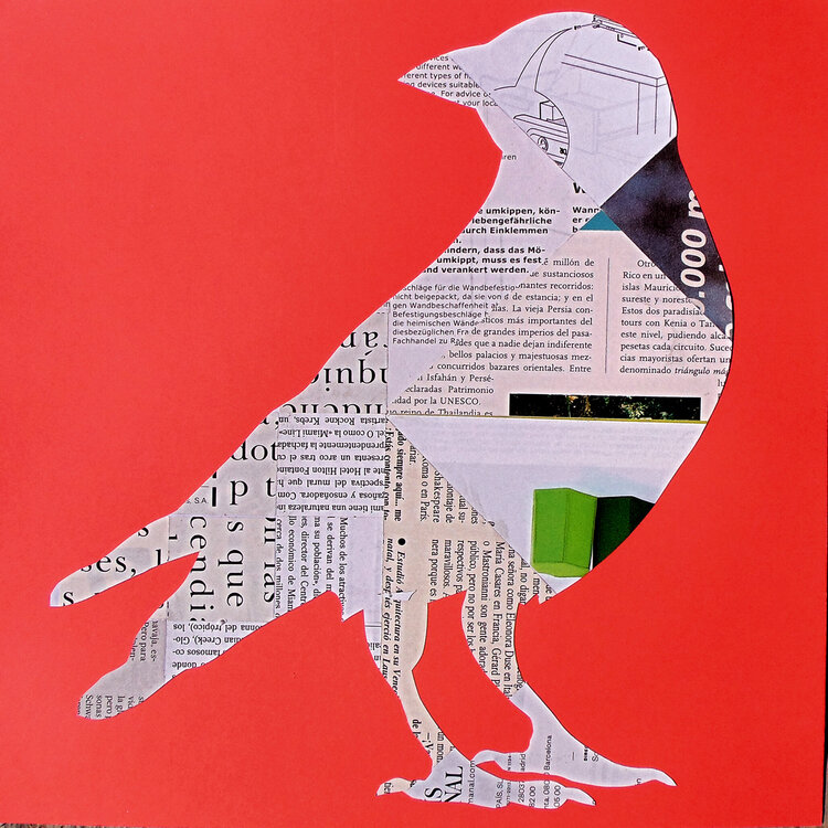 Red Bird Manel Villalonga