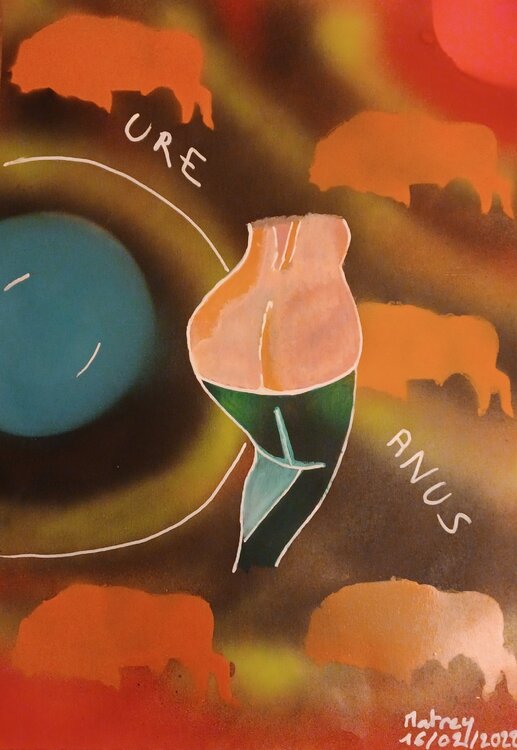 Uranus / URE ANUS (serie rose) matrey