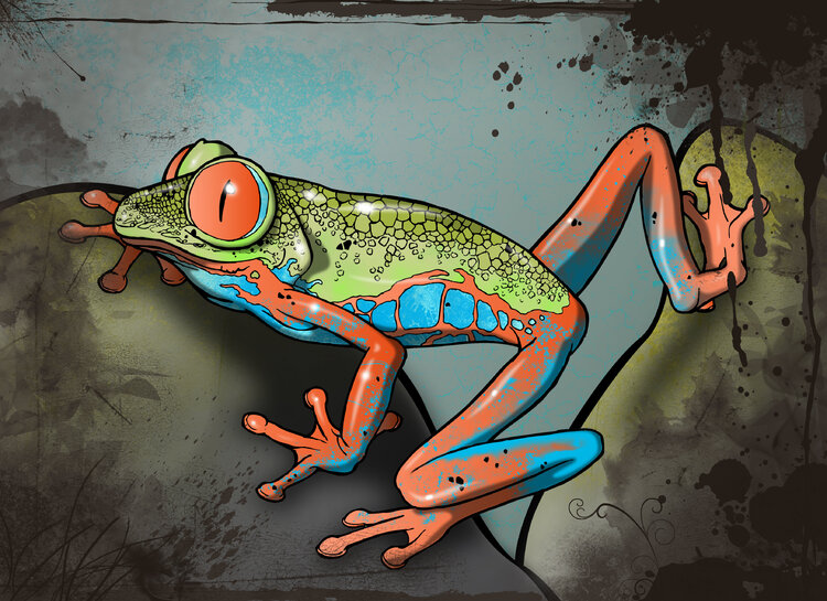 Grenouille Aurelien SEILLER