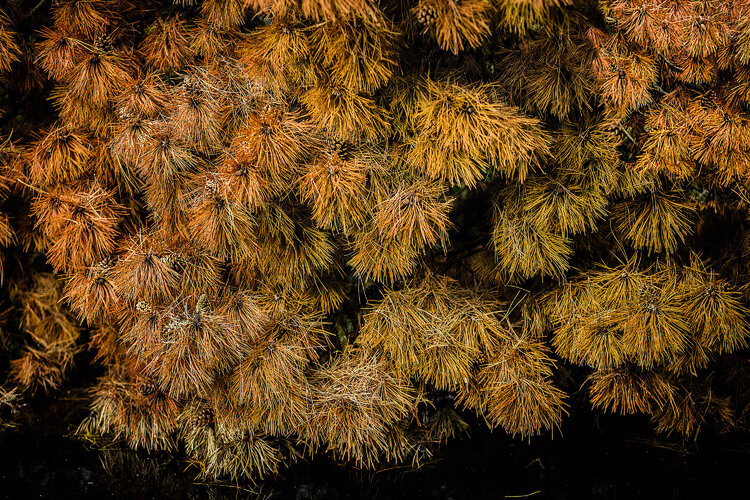 At the end - Am Ende Joachim Müller-Klink