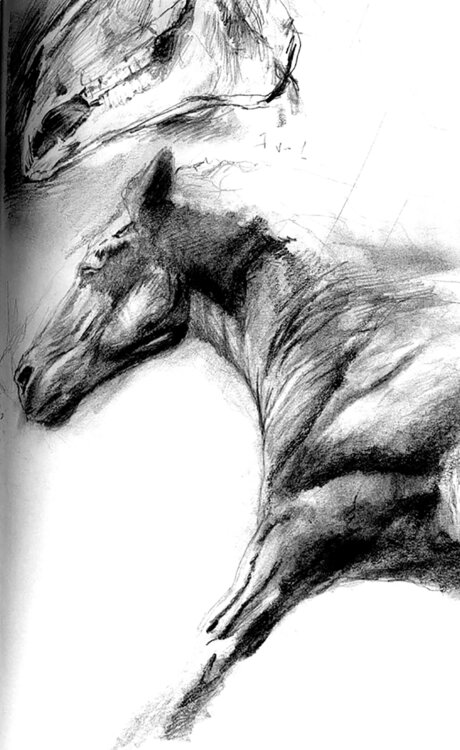 Cheval Grégory Geng