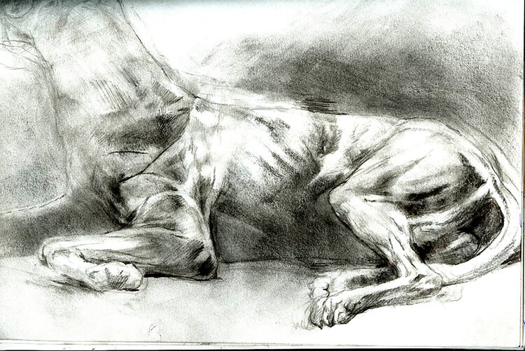 chien Grégory Geng