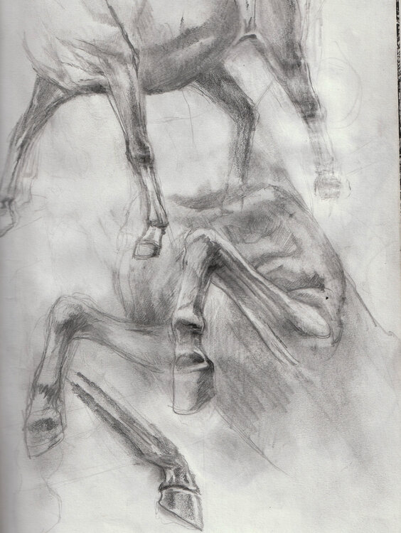 étude cheval Grégory Geng