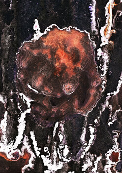 HG#18.2, 2022 // Limitierter Editionsprint // Gerahmt Alexander Kadow