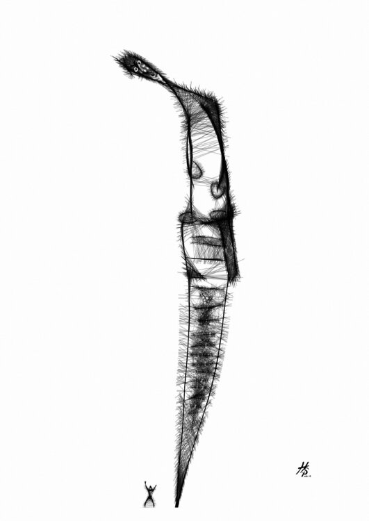 Balance Hardy Ewald Splinter