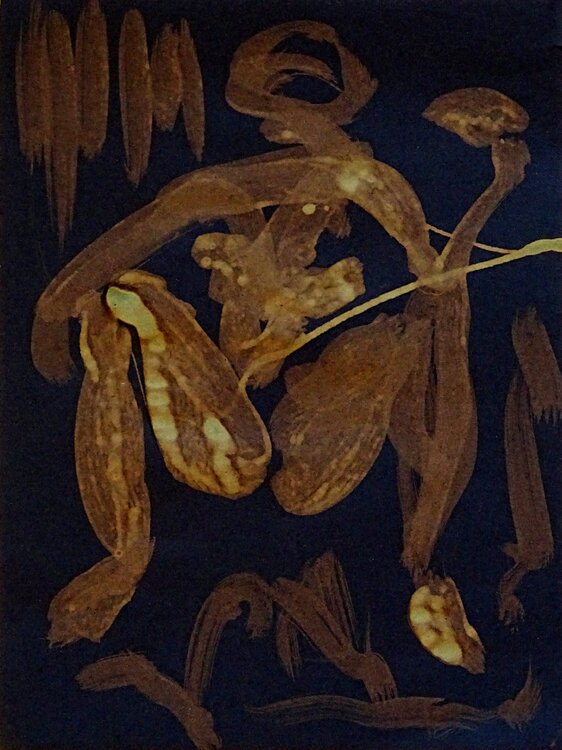 afrikanische Frau, essend Hardy Ewald Splinter
