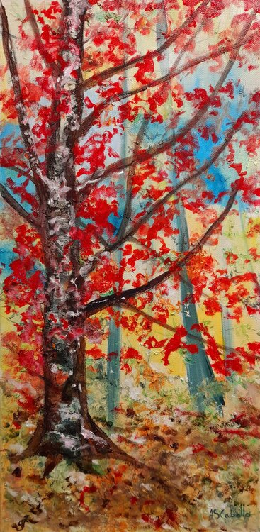Árbol en pleno otoño Antonio Sánchez Cabello