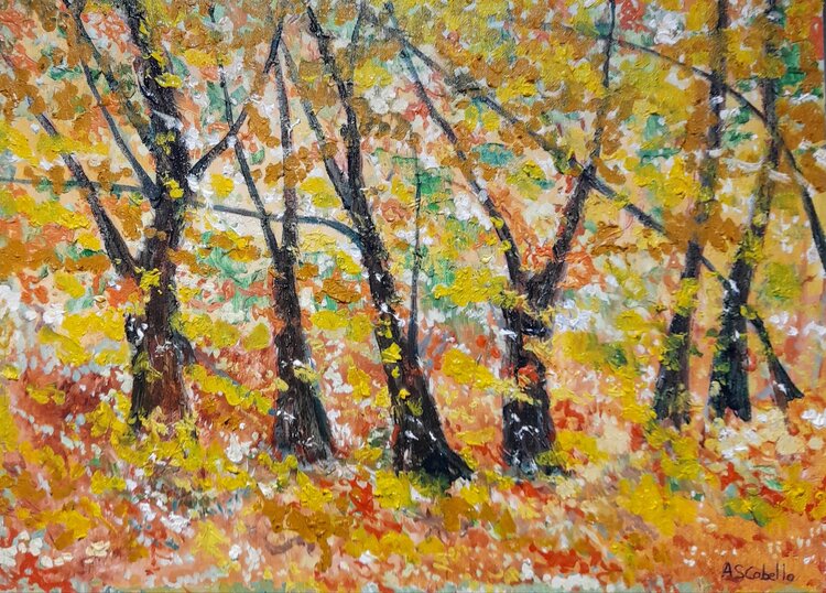 Luz otoñal en el bosque Antonio Sánchez Cabello