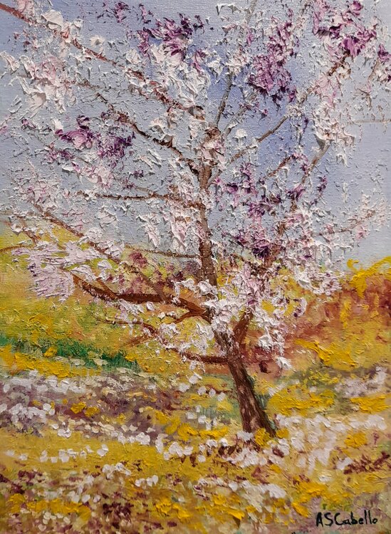 Árbol florecido en primavera Antonio Sánchez Cabello