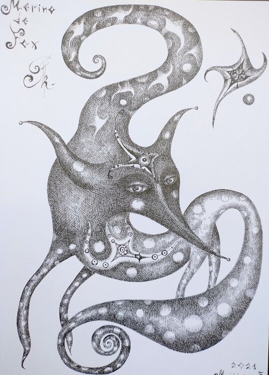 Merino de Fox Anna Friedrich