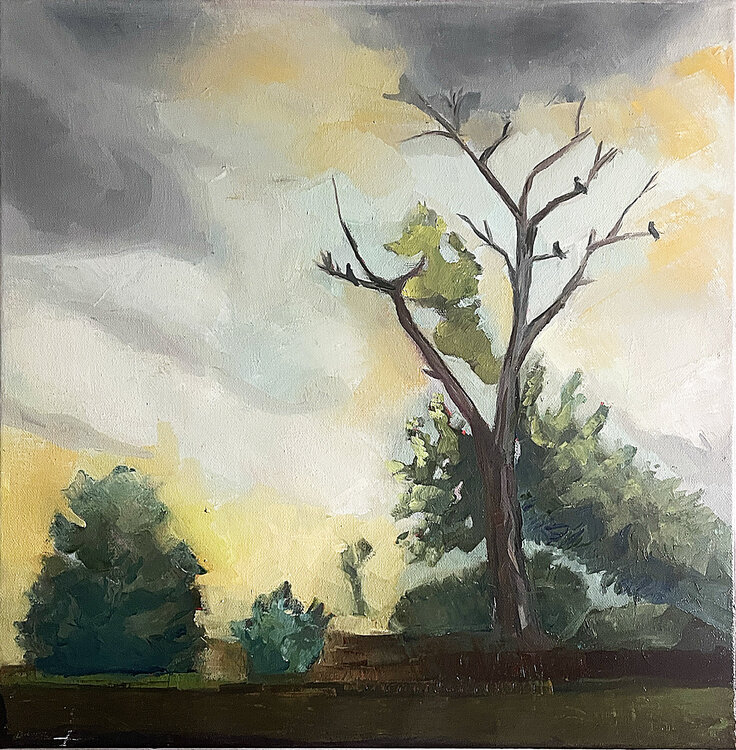 The sky is glowing Ulli Schmitt