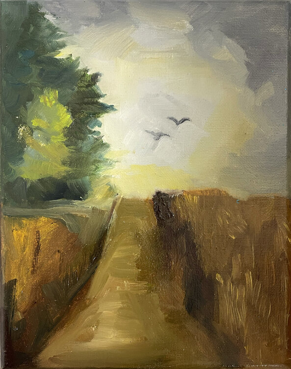 A long way Ulli Schmitt