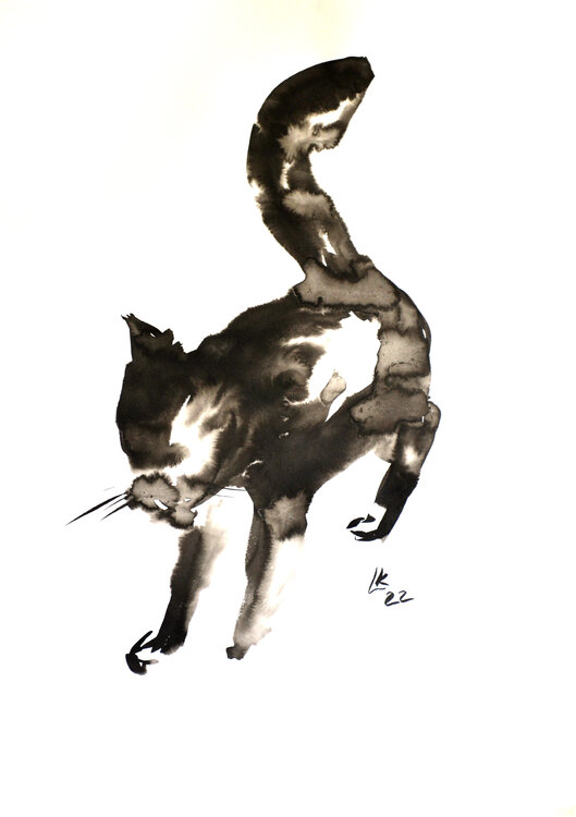 Whiskers in Motion Lada Kholosho